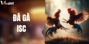Đá Gà ISC VIN88 – Sảnh Cược Chuẩn Trường Gà Quốc Tế
